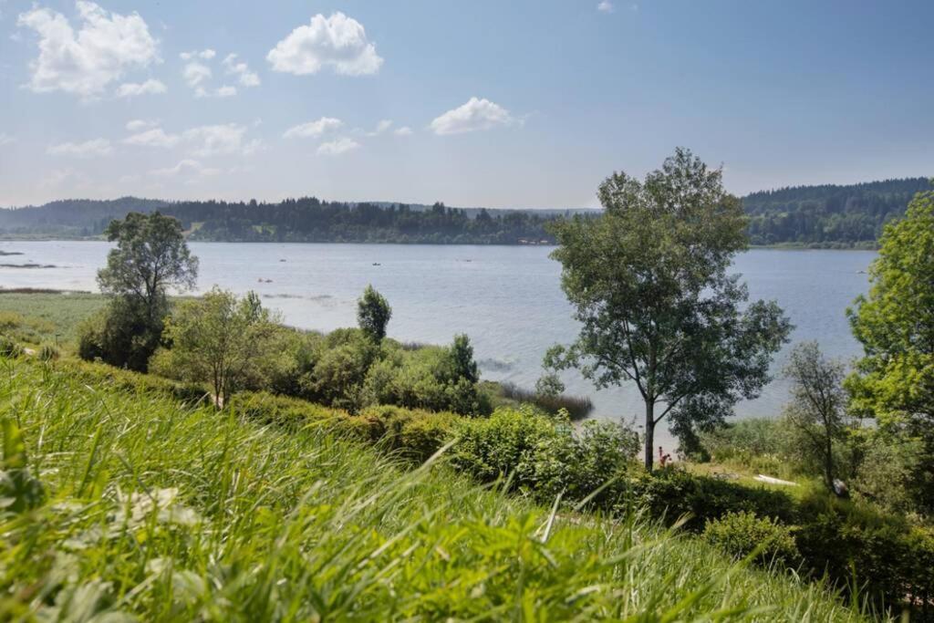 Duplex La Vue Du Lac Malbuisson Ngoại thất bức ảnh
